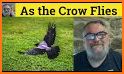 Crow Vocab Builder related image