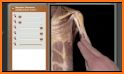 Anatomy & Physiology in a Flash!: Interactive App related image