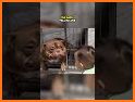 adopte pet baby related image
