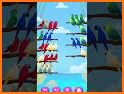 Birds Sort: Puzzle Game related image