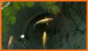 Koi Water Pond Fish Live Wallpaper: 3D Fish Garden related image