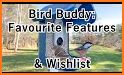 Bird Buddy: Smart Bird Feeder related image
