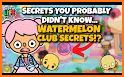 Watermelon Club Toca Boca Wave Secrets related image