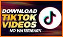 MusicallyDown - Video Downloader for TikTok related image