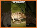 Paleontologas related image