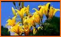 New Month Greeting cards & Wish Images related image