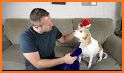Petco: Better Together related image