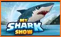 My Shark Show related image