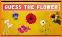 Flowers Quiz related image