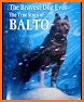 Balto K9 related image