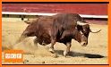 Angry Bull related image