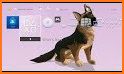 German Shepherd Theme related image