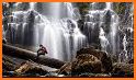 Oregon Waterfalls related image