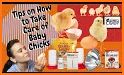 Cherished Baby Chick Escape - JRK Games related image