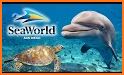 VR Guide: SeaWorld, San Diego related image