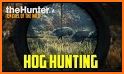 Wild Boar Hunting Calls related image