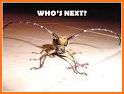Angry Beetles.io related image