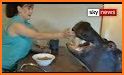 Hippo Home Care related image