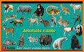 What Word - Animals related image