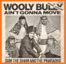 Wooly Bully related image