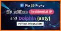 Dolphin Network Proxy related image