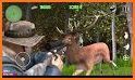 Hunter Sim related image