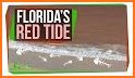 Red Tide related image