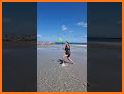 Beach Frisbee 3D related image