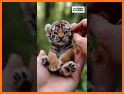 Fun Sudoku For Kids-BabyTiger related image