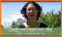 Food Forest related image