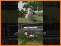 Animal Farm Sim Farming Games related image