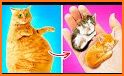 Pregnant Cat Kitty Pet Games related image