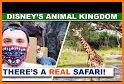 Jungle Safari - Rush Hour Animal Racing Adventure related image