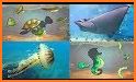 Sea animal & ocean jigsaw puzzles related image