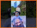 PhotoTune Video related image