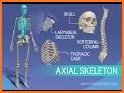 My Skeleton Anatomy related image