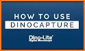 Dino Lite Classic related image