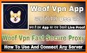 Woof VPN - Fast Secure Proxy related image