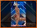 Elastic Giraffe related image