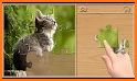 Animals Puzzle - Cartoon Puzzles for Kids related image