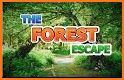 Forest Escape related image