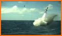 Submarine Attack! related image