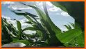 Your Farmer related image