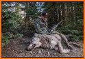 Wild Animal Sniper Hunting 2020 related image