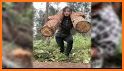 Wood Cutting Girl Escape related image