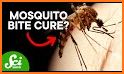 Mosquito related image