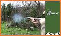 Pheasant Bird Hunting: Wings Sniper Shooting 2018 related image