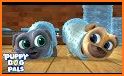 The Puppy Race Dog Pals - Free pets Games related image