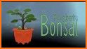 Pocket Bonsai related image