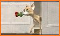 All Wishes Greeting Cards 3D GIF related image